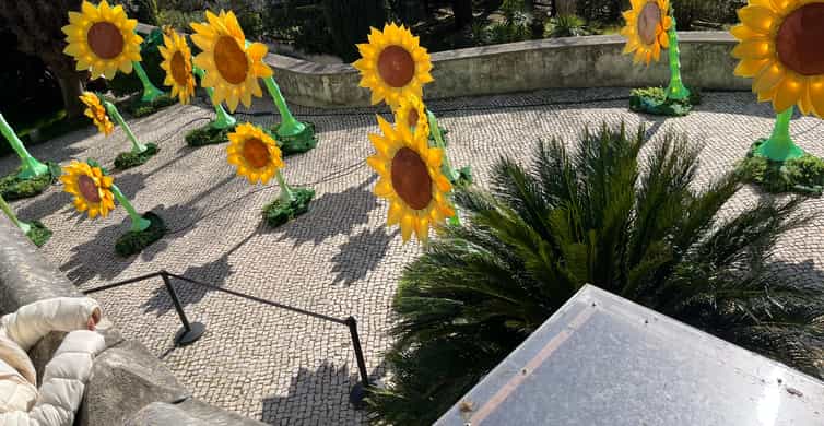 Galería de fotos para redes