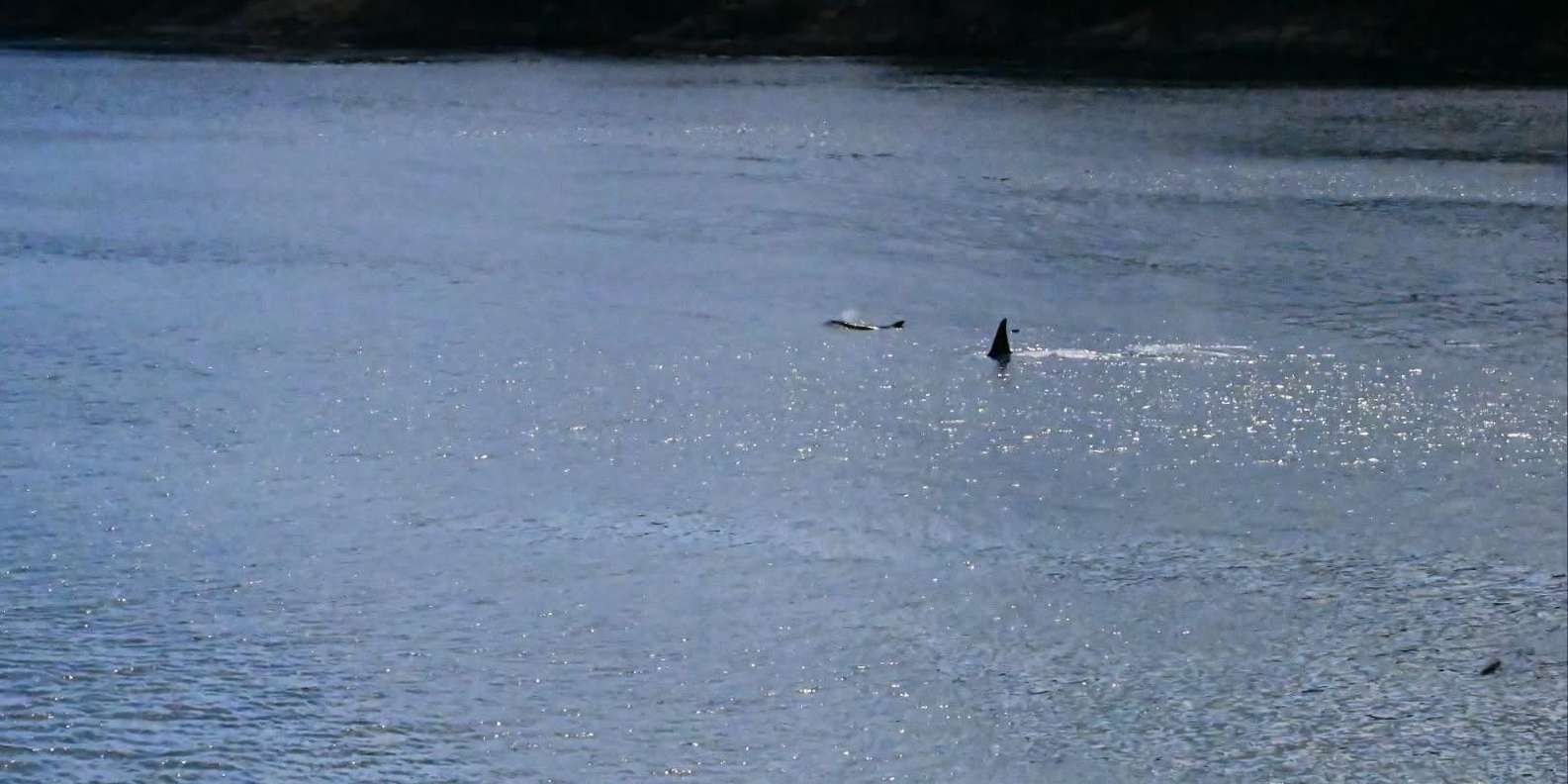 Guest photo from review