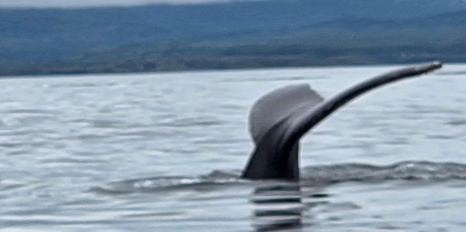 Guest photo from review