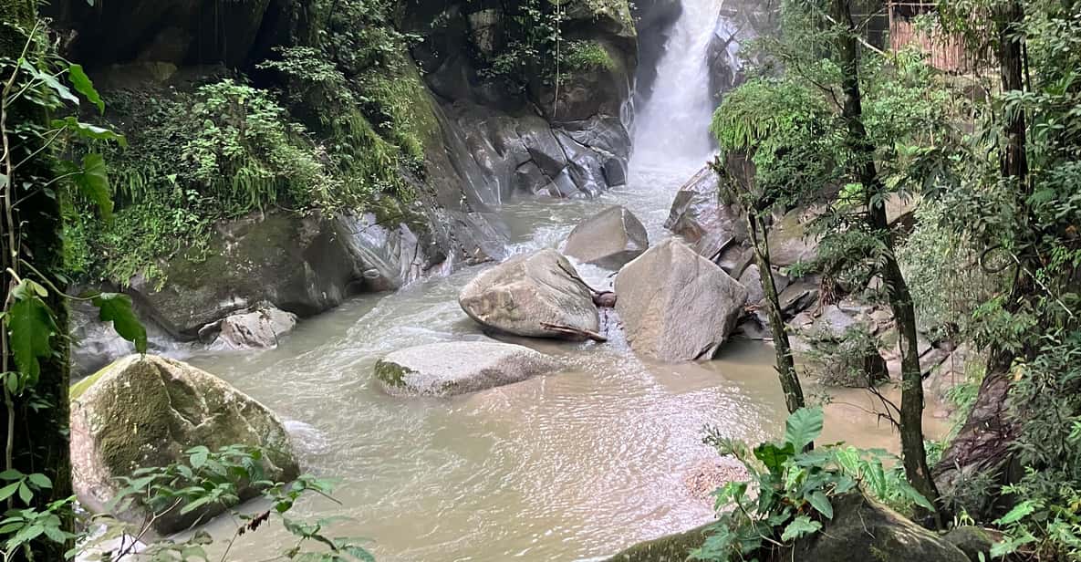 Colagem de mídia