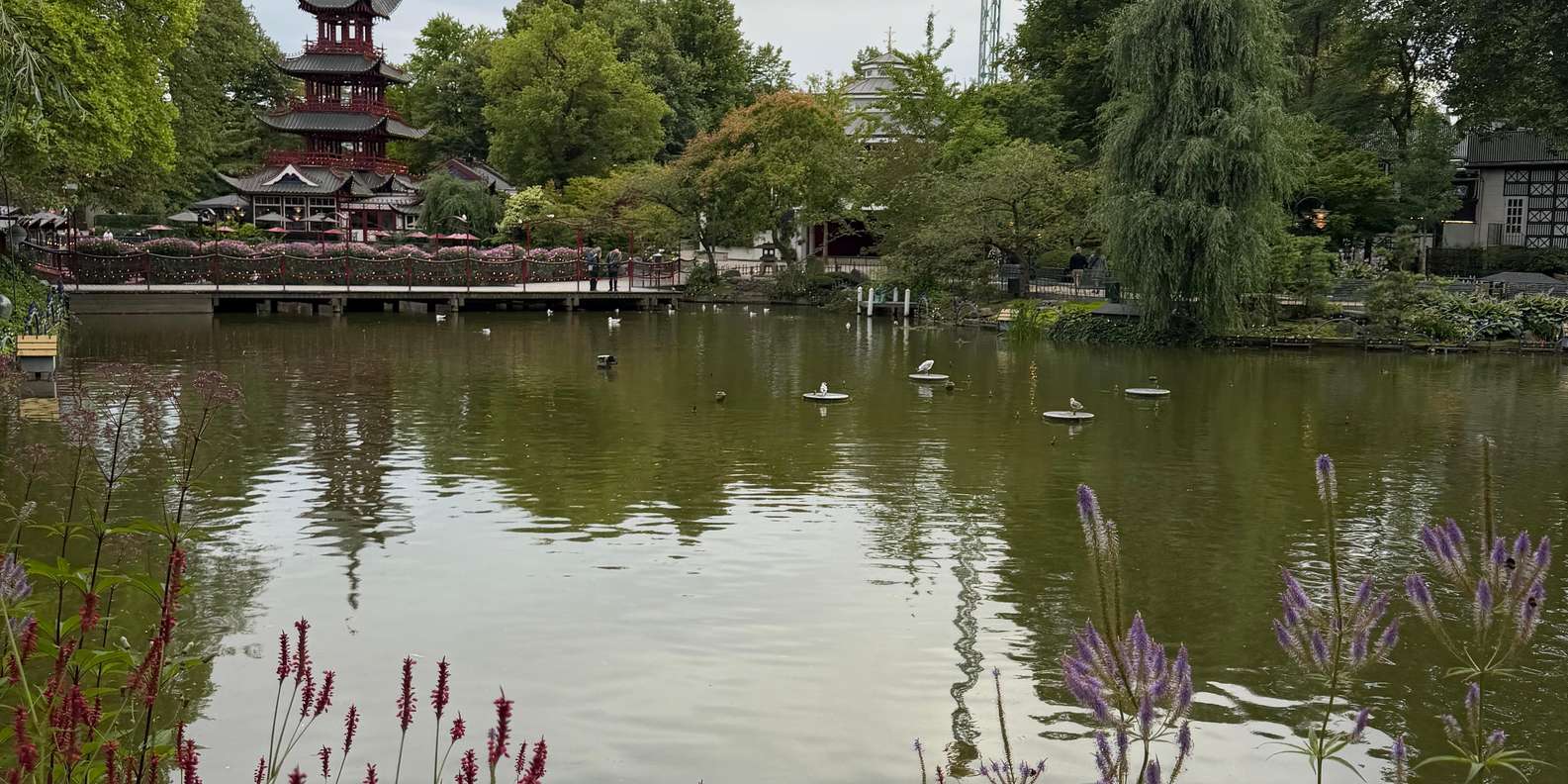 Guest photo from review