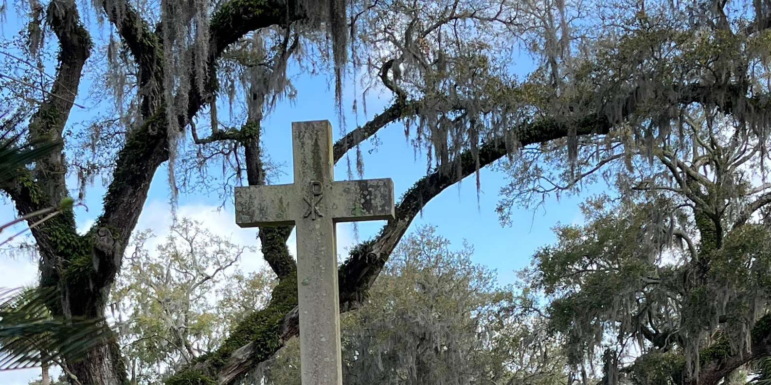 Guest photo from review