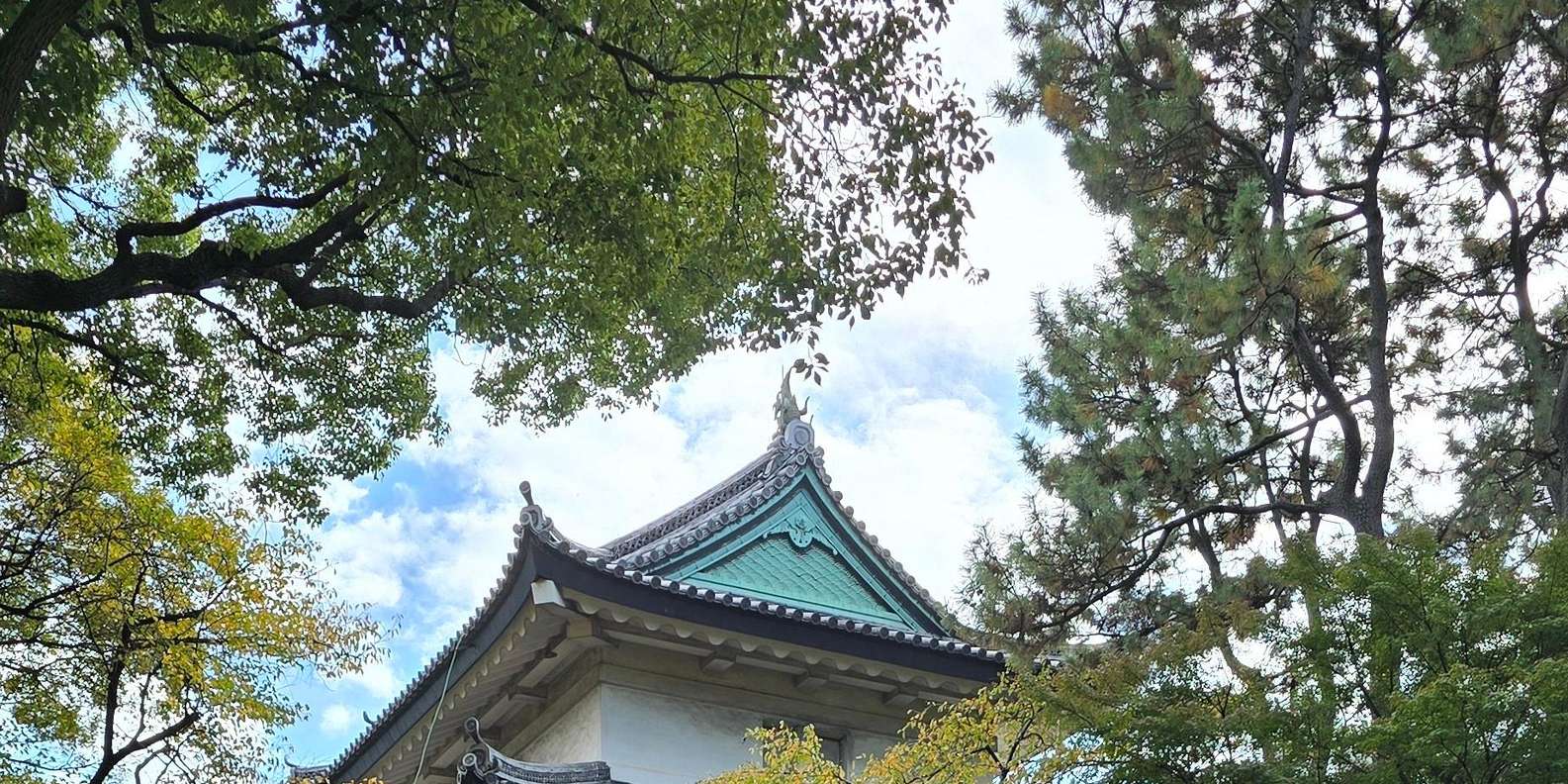 Guest photo from review