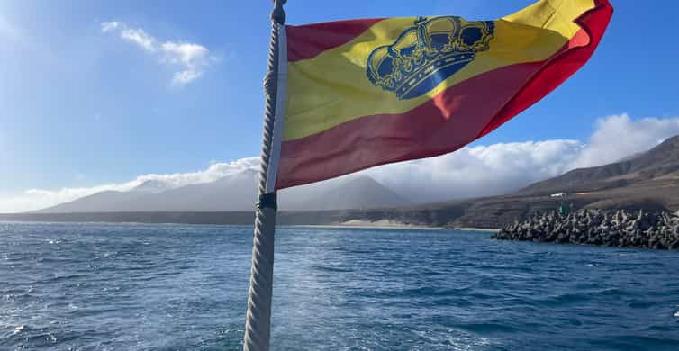 Galería de fotos para redes