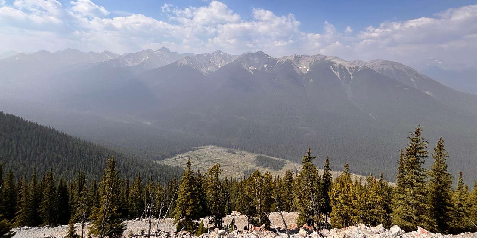 Photo d’un voyageur, tirée de son avis
