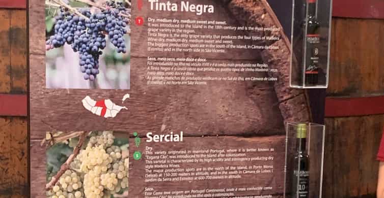 Galería de fotos para redes