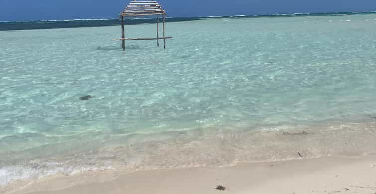 Galería de fotos para redes
