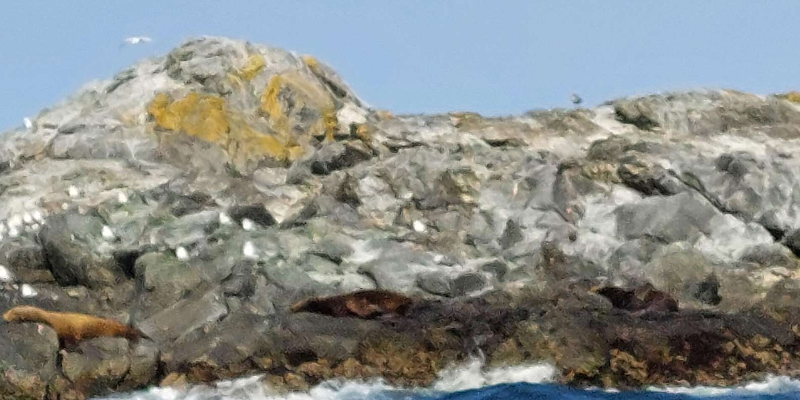 Guest photo from review