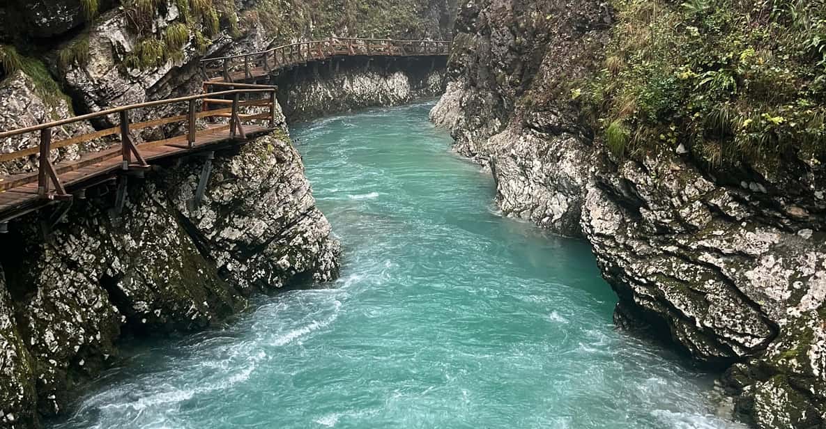 Galería de fotos para redes