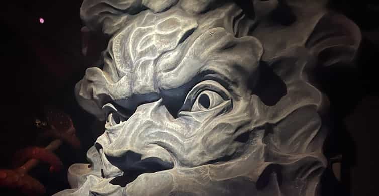 Galerie média