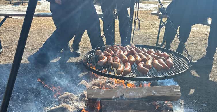 Galería de fotos para redes