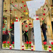 Eau de Cologne, Köln Kokusunu Anlatan Özel Yürüyüş Turu - Hizvo