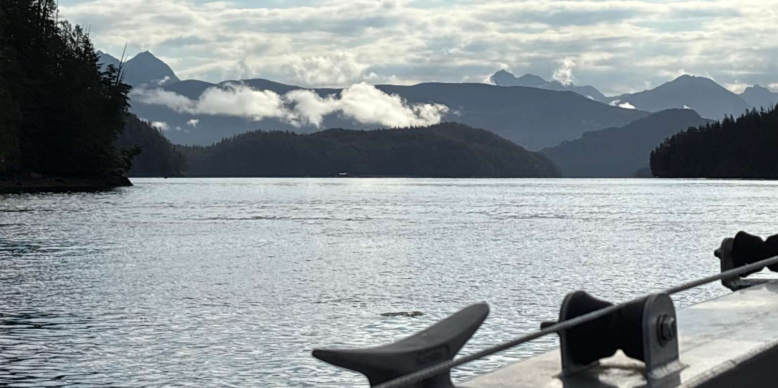 Guest photo from review