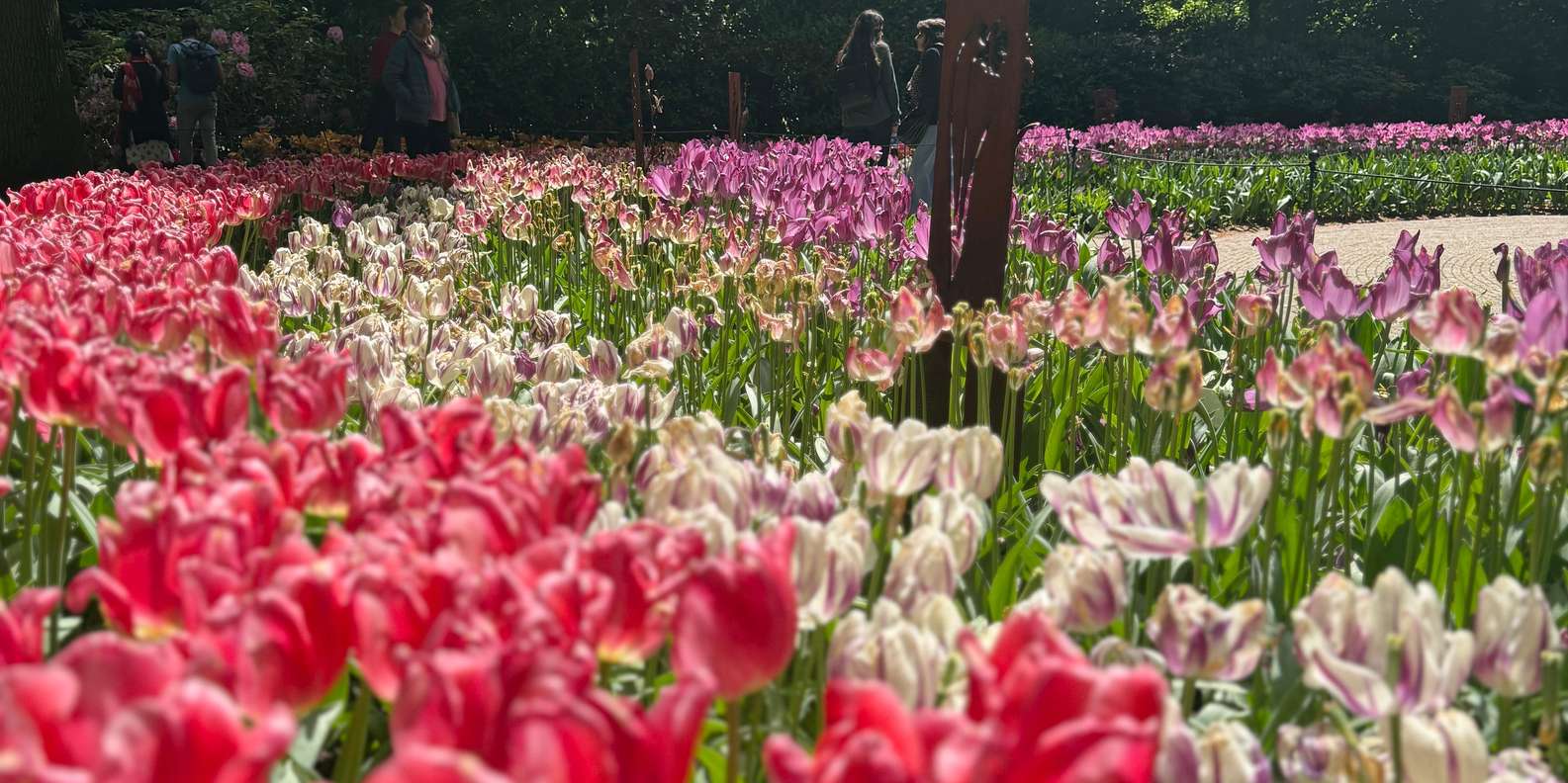 Guest photo from review