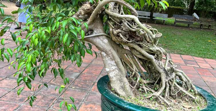 Galería de fotos para redes