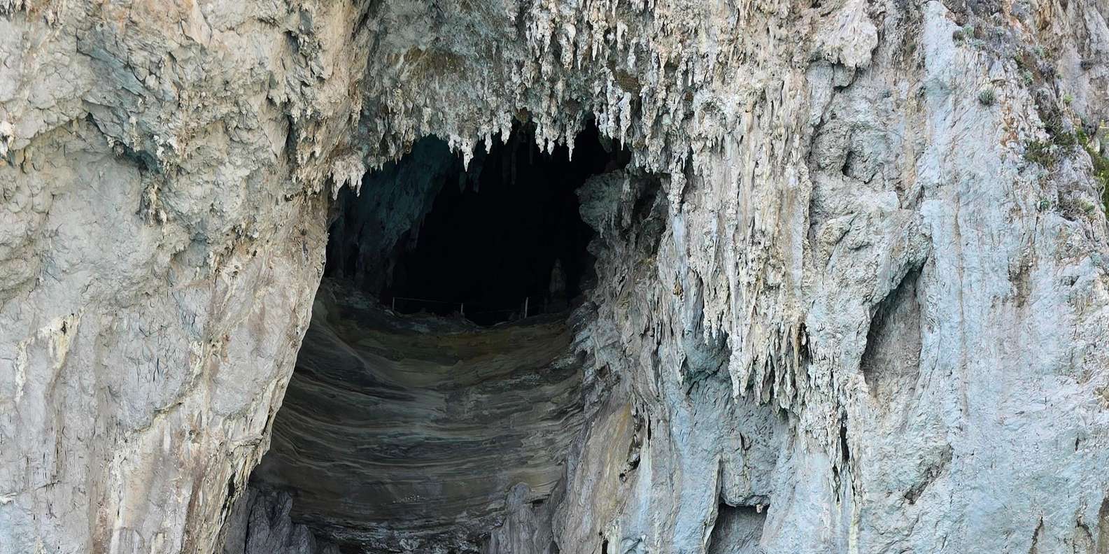 Guest photo from review