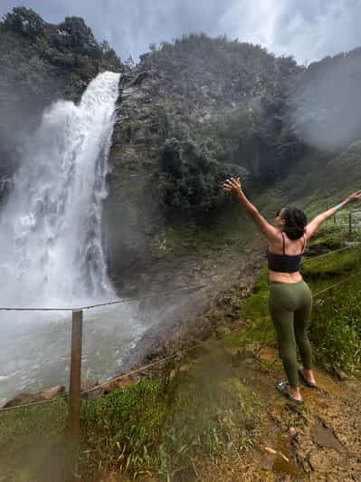 From Medellín: Dream Hammocks, Zipline, & Waterfall Day Trip
