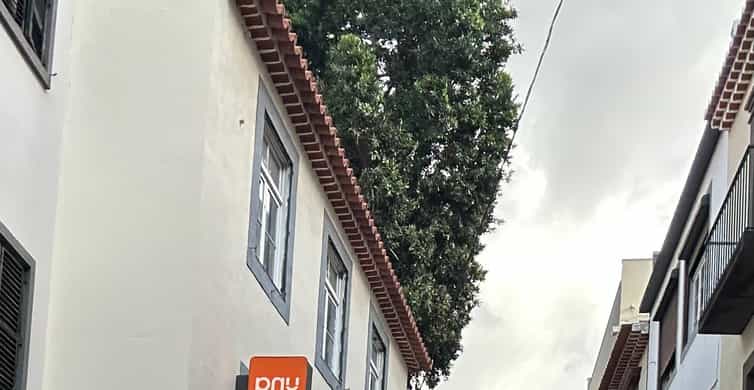 Galerie média