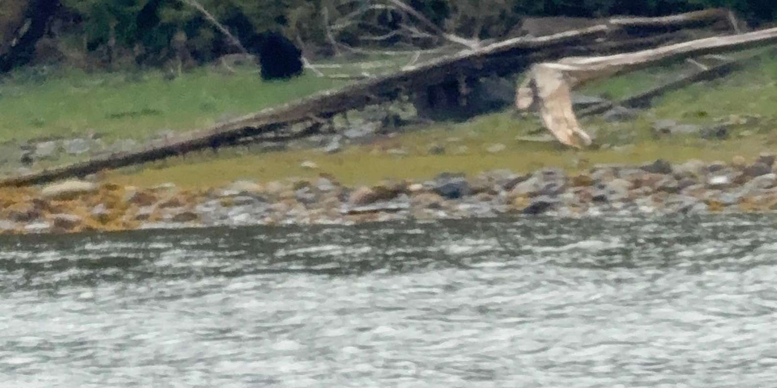 Guest photo from review