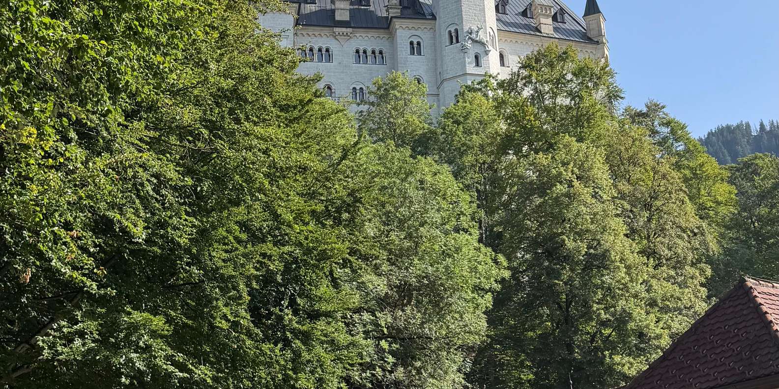 Guest photo from review