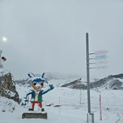 スキー BAKU The best Baku Ski & snowboard 2026 - Free cancellation | GetYourGuide