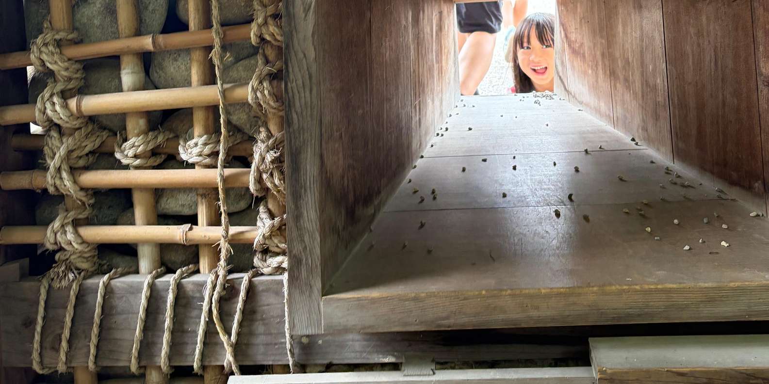 Guest photo from review