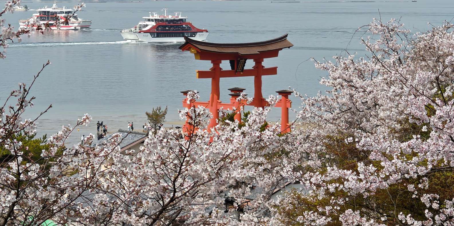 Guest photo from review