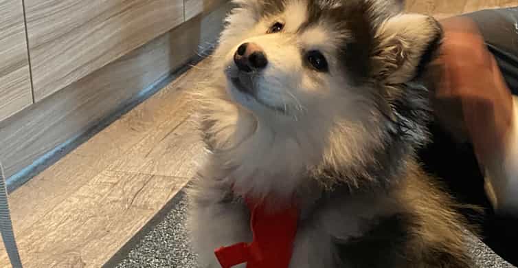Медиаколлаж