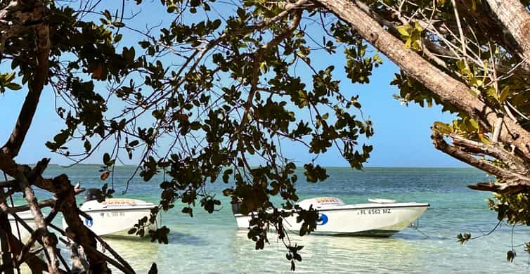 Galería de fotos para redes