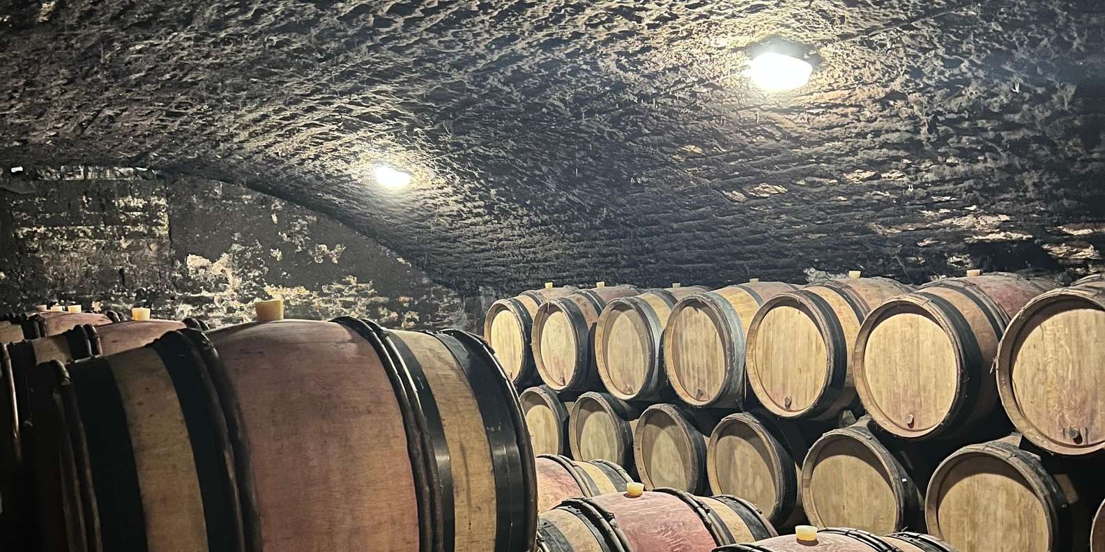 Guest photo from review