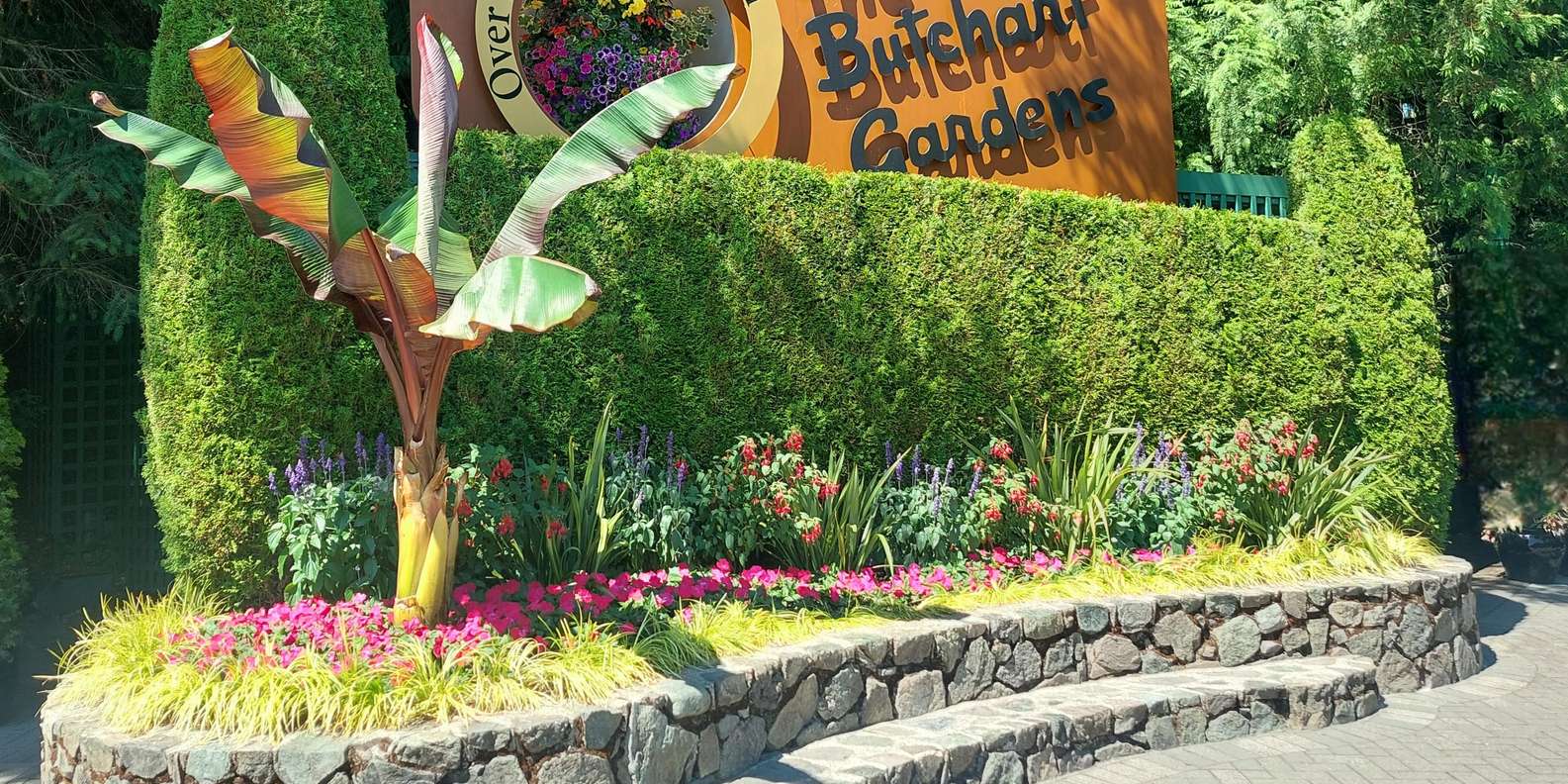 Guest photo from review