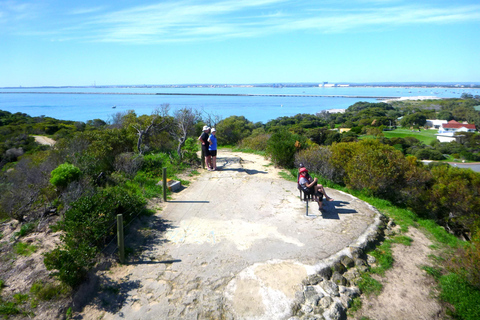 Perth: Shoalwater Islands Marine Park Zeekajaktocht