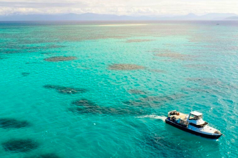 Cairns: Great Barrier Reef Fishing Charter with Lunch