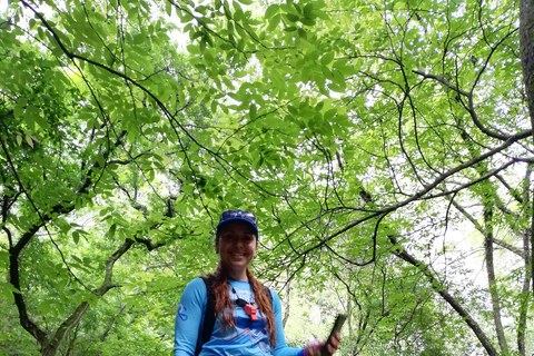 Monterrey : Profitez d&#039;une eau rafraîchissante en traversant le Cerro Agujerado.