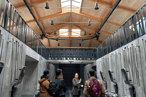 Z Bordeaux: Wycieczka po winnicach Saint-Emilion i Pomerol