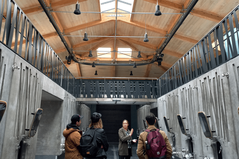 Z Bordeaux: Wycieczka po winnicach Saint-Emilion i Pomerol