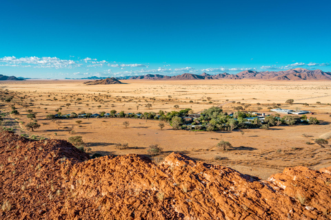 10 Days Namibian Highlights Safari Tour