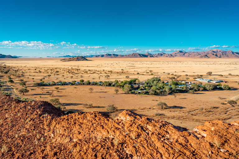 7 dagars safari med det bästa av norra Namibia