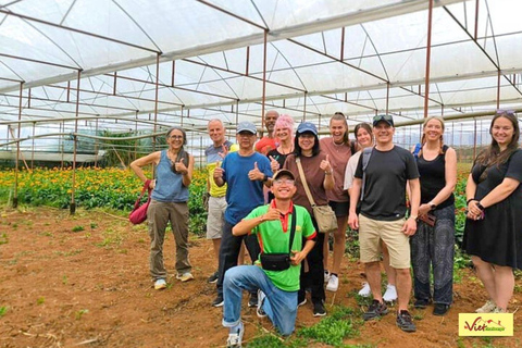 Dalat: 3 Waterfalls Day Tour — Datanla, Pongour & Elephant 3 waterfalls - 2025