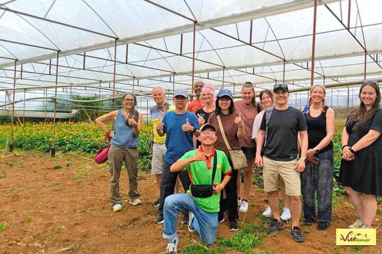 Dalat: 3 Waterfalls Day Tour — Datanla, Pongour & Elephant 3 waterfalls - 2025