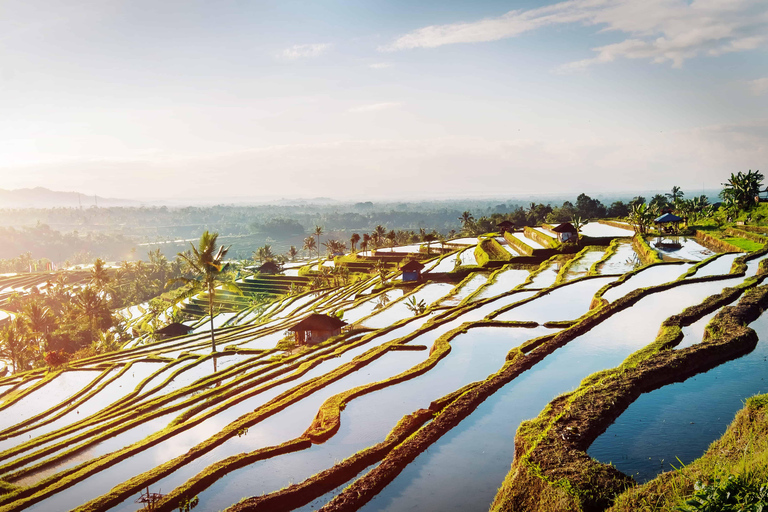 Bali: Tour privato dell&#039;Isola del Nord con cascata BanyumalaTour senza tasse d&#039;ingresso