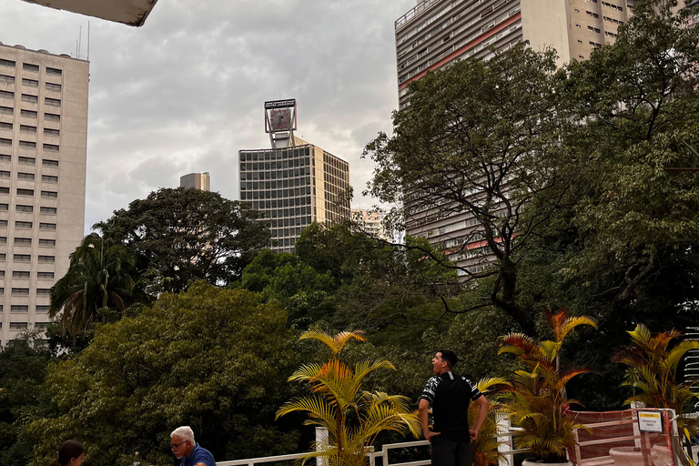 São Paulo: Underground Culture and Arts TourSão Paulo: tour door de undergroundcultuur en -kunst