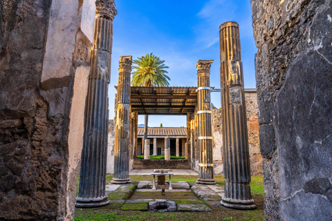 Vanuit Napels: Pompeii en Sorrento Bus Tour met Gids