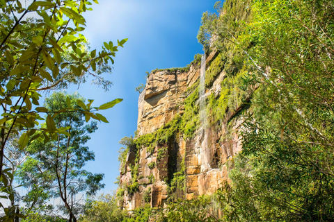 Sydney: Blue Mountains 3 Scenic Walks Ultimate Guided Tour Shared Tour, Meet at Furama Darling Harbour