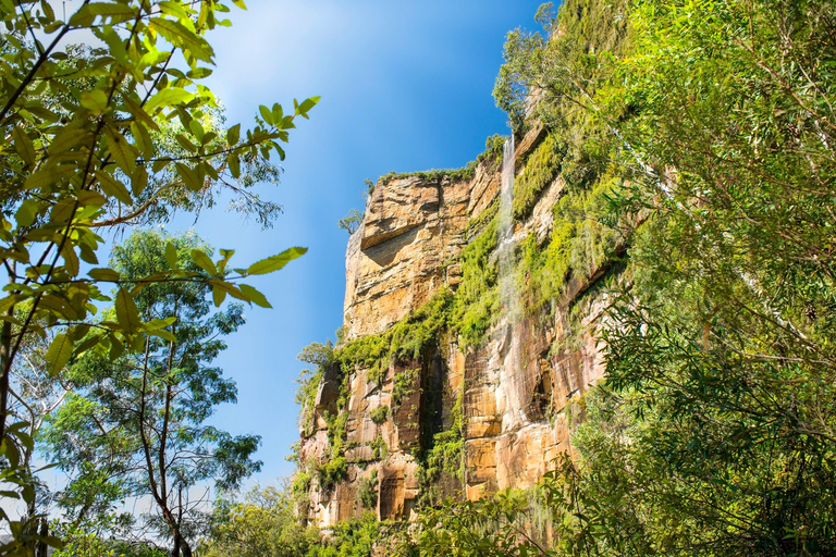 Sydney: Blue Mountains 3 Scenic Walks Ultimate Guided Tour Shared Tour, Meet at Furama Darling Harbour