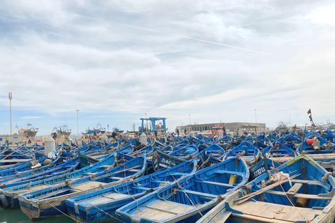 Day trip to Essaouira