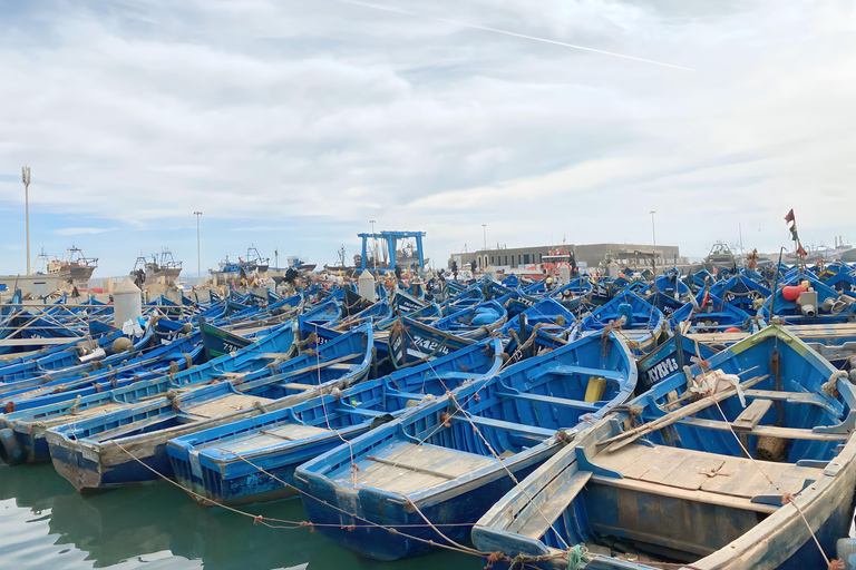 Day trip to Essaouira