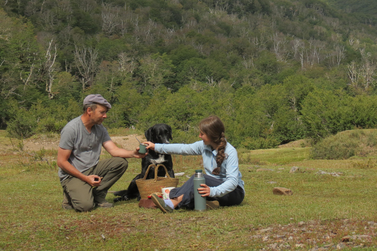 San Martín de los Andes: Half-Day Tour to the Mallin Grande