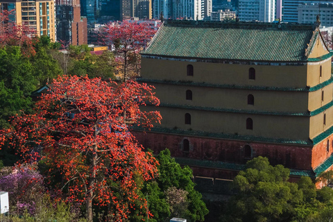 Guangzhou: Old & New City Tour with Pearl River Night Cruise Small Group (Max 15) : Old & New City Tour & Night Cruise