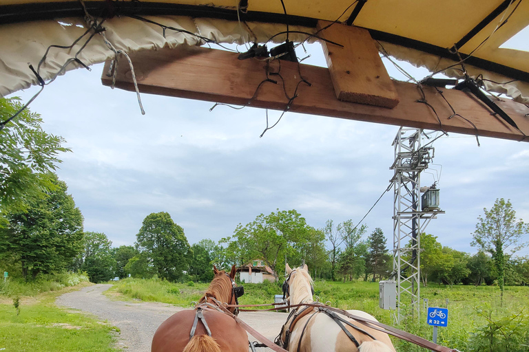 Plitvice: Horseback Riding Tour with Cave Entry Ticket Ride to Barać Caves (Half‑day Horseback Tour)
